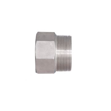 Gewinde-Adapter NPT (AG) / Rp (IG)
